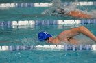 Swimming vs Bentley  Wheaton College Swimming & Diving vs Bentley College. - Photo by Keith Nordstrom : Wheaton, Swimming & Diving